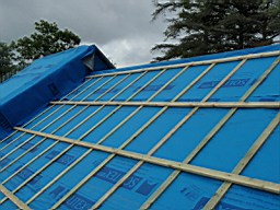 carrowcrory studio-4010.JPG